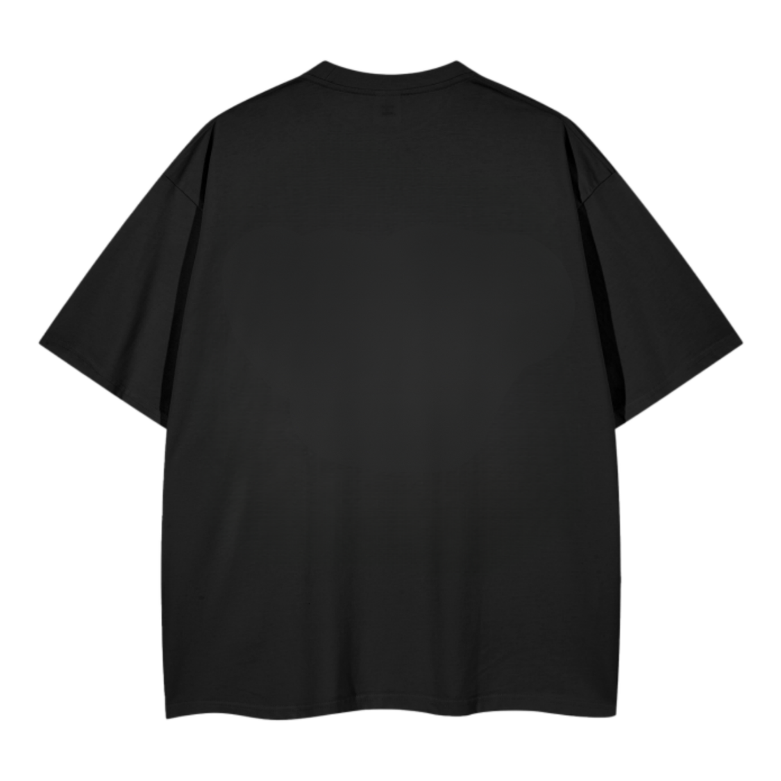 OLE, OLE, OLE T-SHIRT