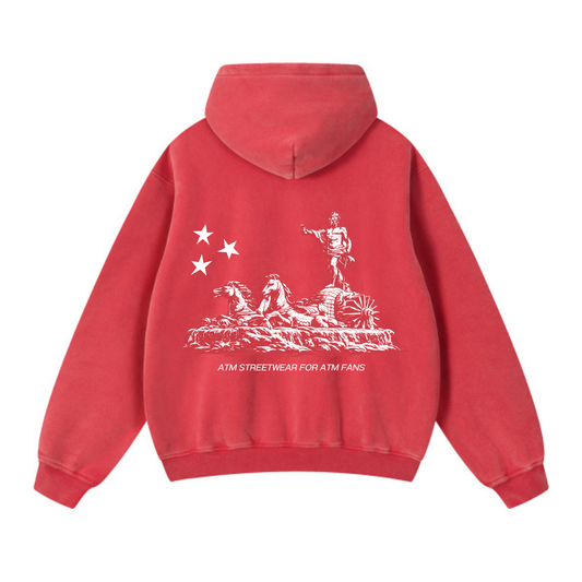 NEPTUNO CLASSIC WASHED HOODIE